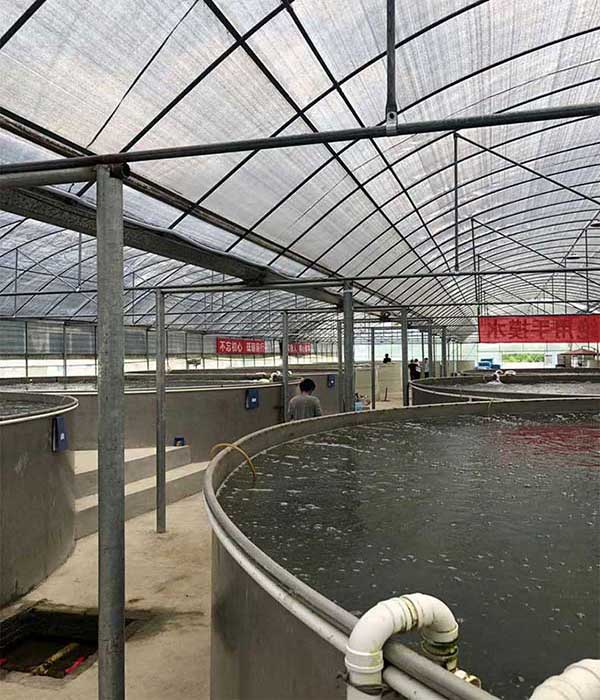 水产养殖系统恒温空气能热泵机组