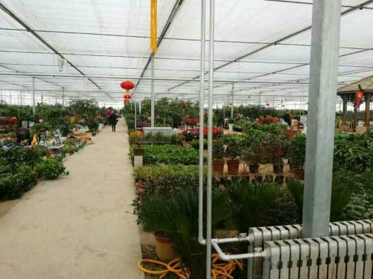 湖南生态园花卉植物大棚 采暖、制冷、项目