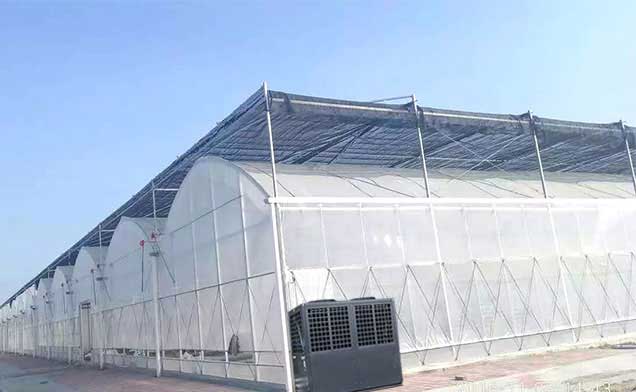 温室大棚养虾 温室大棚养虾可靠吗?